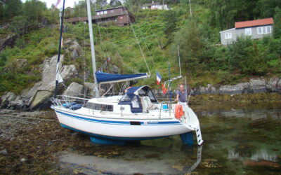 LA CROISIERE DU HARENG