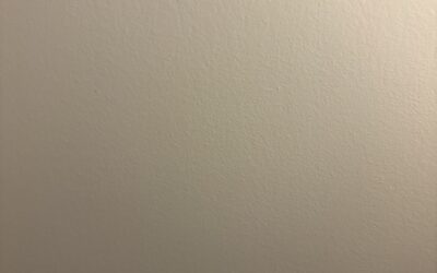 7/03 Brume et Brouillard pour un entrainement