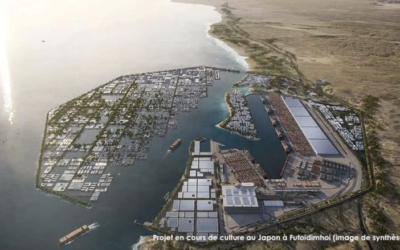 Un nouveau port à Dives ! Port Guillaume 2 ?